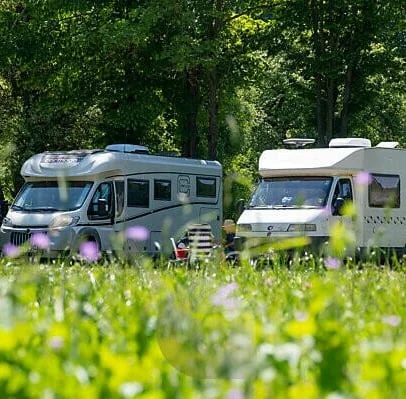 Afbeelding campers tussen bomen